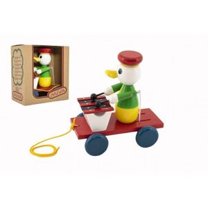 Teddies Kačer s xylofonem tahací barevný 20cm v krabičce