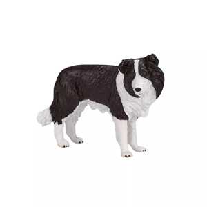Mojo Border kolie