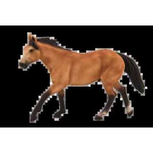 Mojo Quarter horse plavák