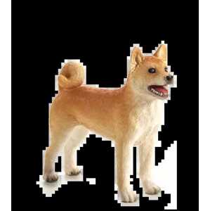 Mojo Pes shiba-inu