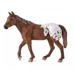 Mojo Appaloosa hřebec blanket