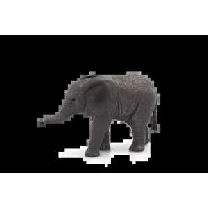 Mojo Slon africký slůně
