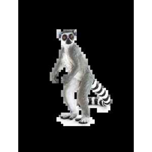 Mojo Lemur kata