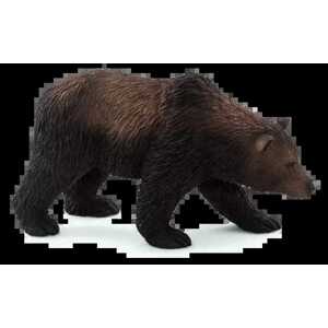 Mojo Medvěd grizzly