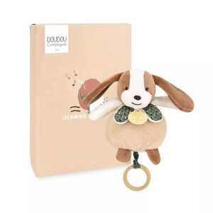 Doudou et Compagnie Paris Doudou Plyšový pes hrající melodii 20 cm