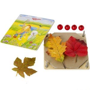 Herbář - Lis na květiny a listy, Peggy Diggledey (Goki)