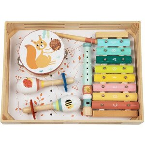 Hudba - Muzikální set, 4 nástroje Lesní zvířátka (2Kids Toys)