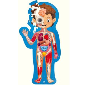 Puzzle podlahové - Lidské tělo v kufříku (Hape) - Novinky